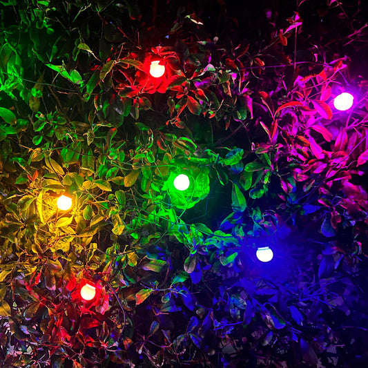 Festoons (Rainbow Colored)