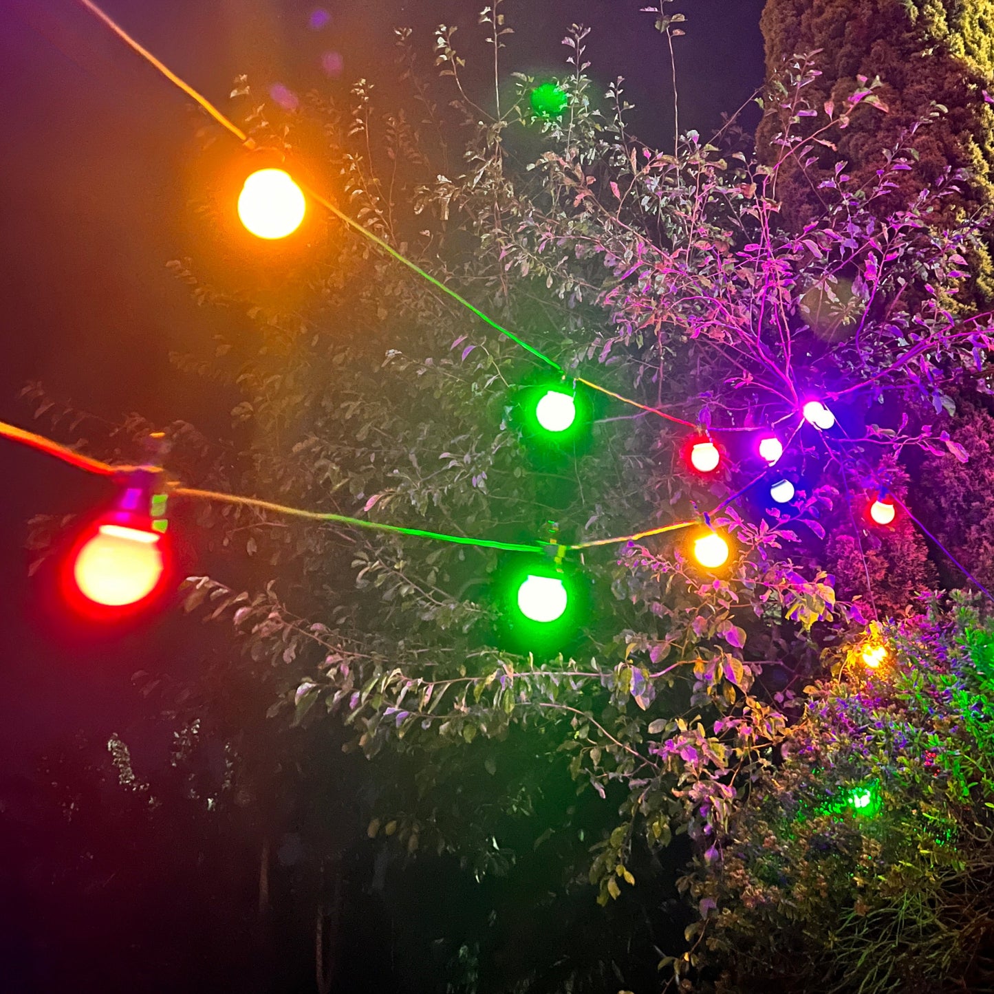 Festoons (Rainbow Colored)