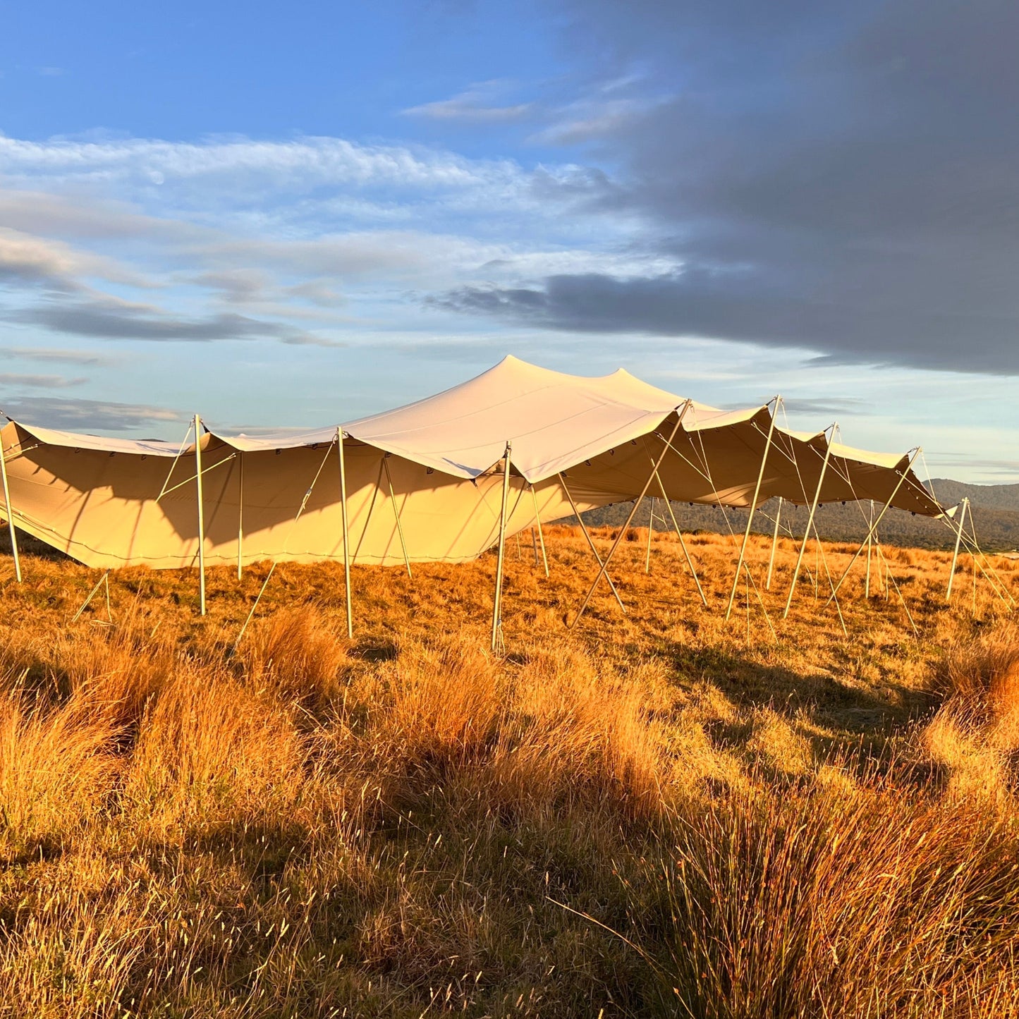 10x15m White Stretch Tent